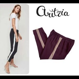 Aritzia Babaton Dexter tuxedo pants burgundy maroon plum Sz 10🔥